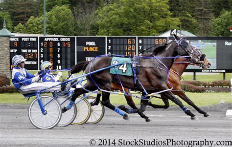 saratoga casino harness track entries.